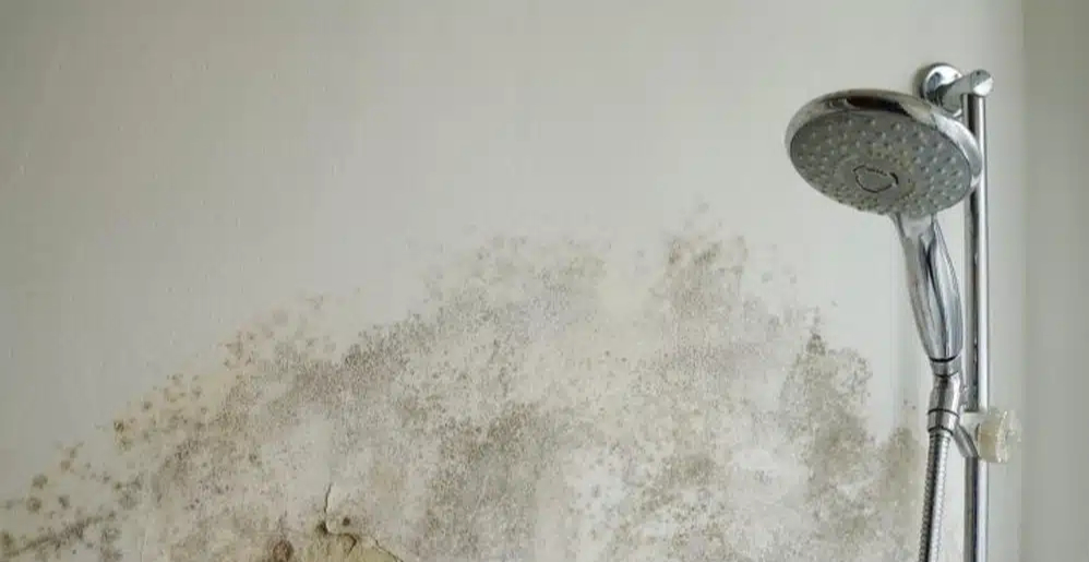 Mistakes to Avoid with Leaking Shower Repairs in Logan